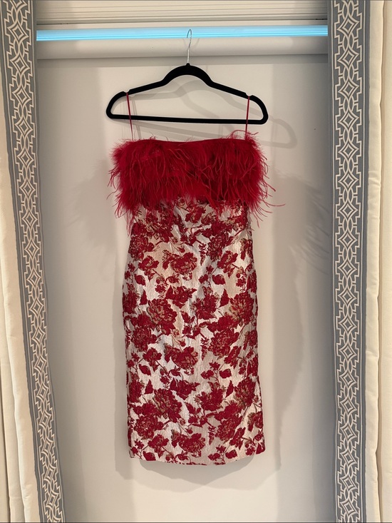 Hyacinth House Dresses & Skirts - Hyacinth House Red Feather-Trim Floral Mini Dress